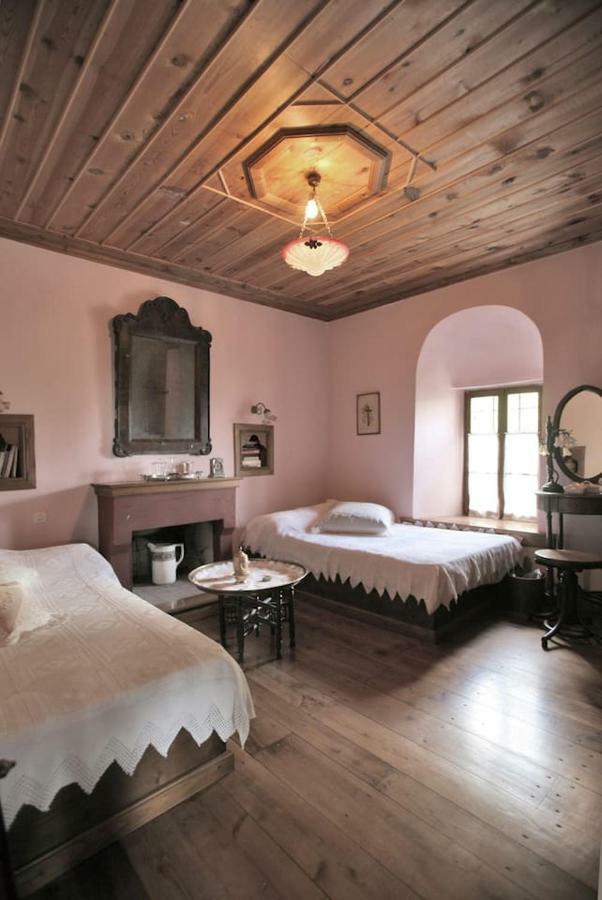 Pelion Belvedere - THE MANSION Vizítsa Buitenkant foto